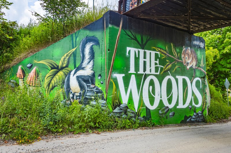 Into the Woods - Inglewood Mural