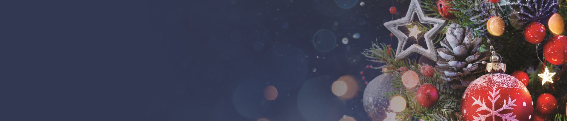 Caledon Tree Lighting web banner