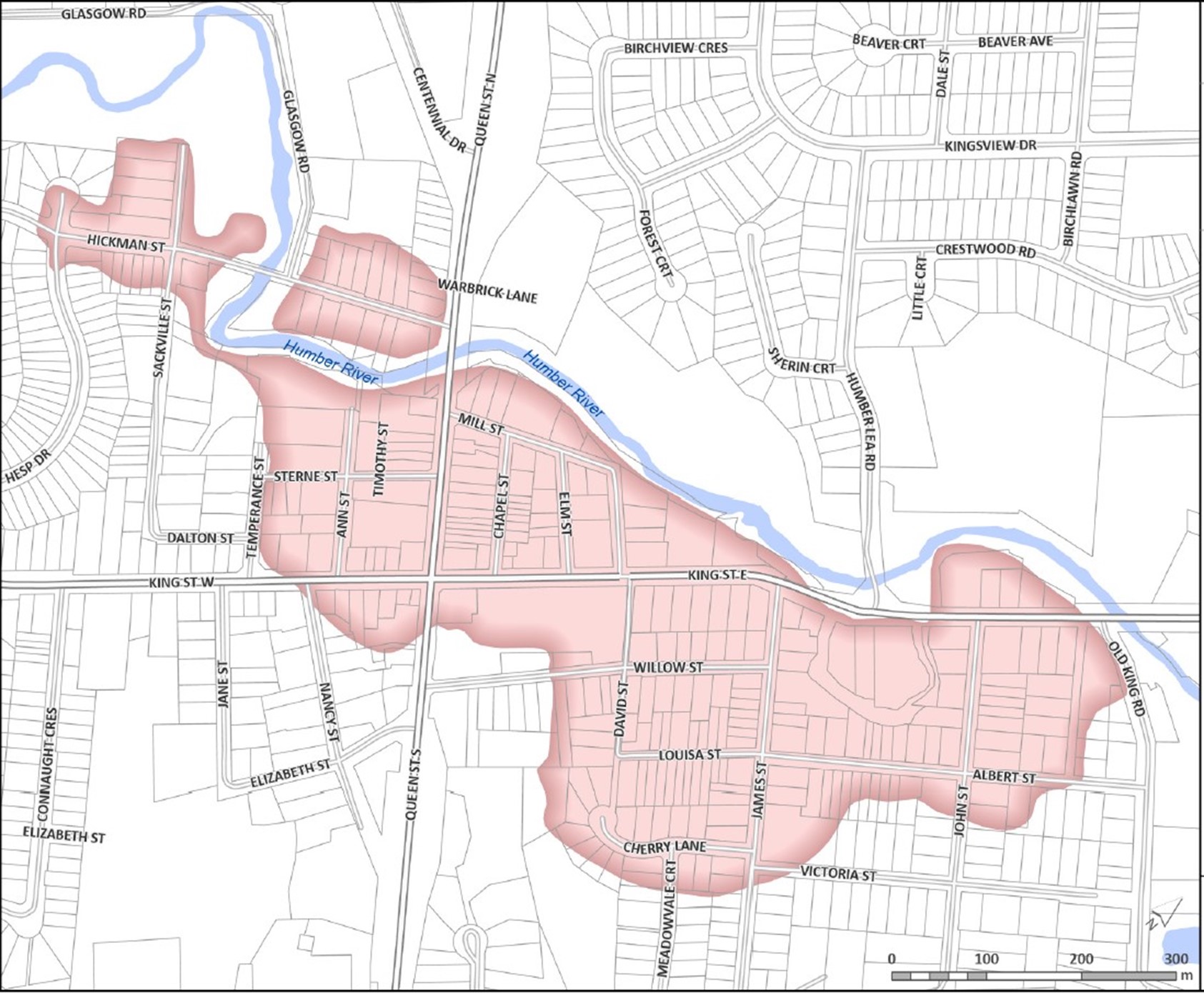 Notice of Public Information Session: Bolton Special Policy Area Study ...